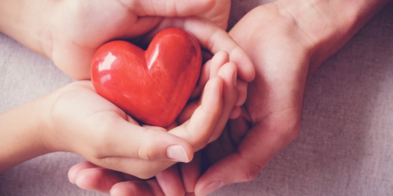 Kalp Damarları Biyoadaptör Teknolojisi İle Nedir ?