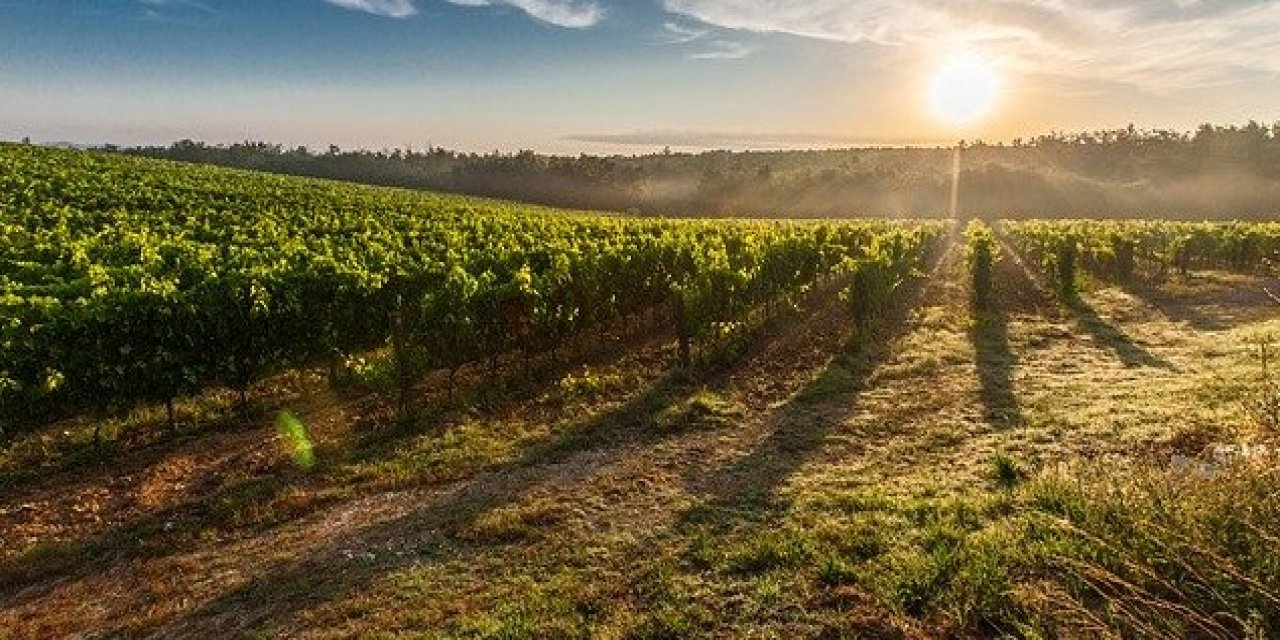 Dr. Ece Aynur Onur, İklim Krizi Hakkında Uyarılarda Bulundu!