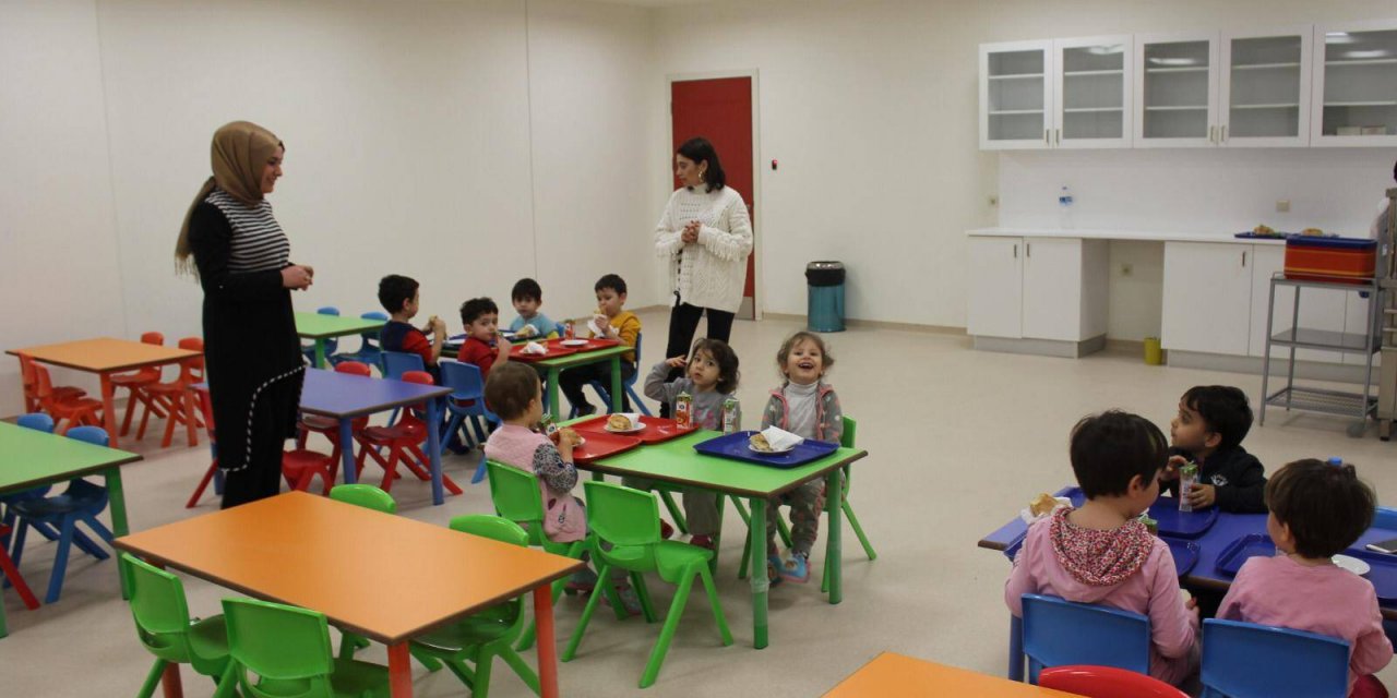 Sağlık Sen Kreş Projesi Kreş Sorununu Çözer Mi ?