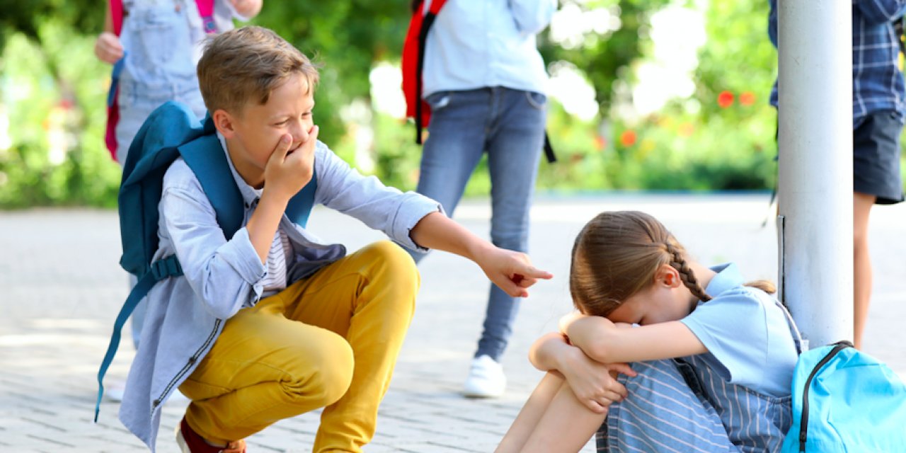 Türkiye Pısa Raporunda Akran Zorbalığı Ve Okul Güvenliği Uyarısı !