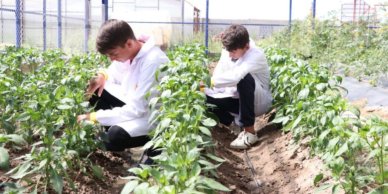 Sürdürülebilir Tarım Eğitimi: Liselerde Yeni Ders