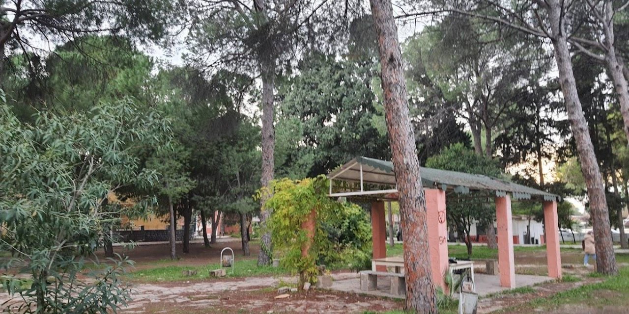 Bornova Anadolu Lisesi Korusu Suriyeli Çocuklar İçin Anaokulu Mu Yapılacak ?