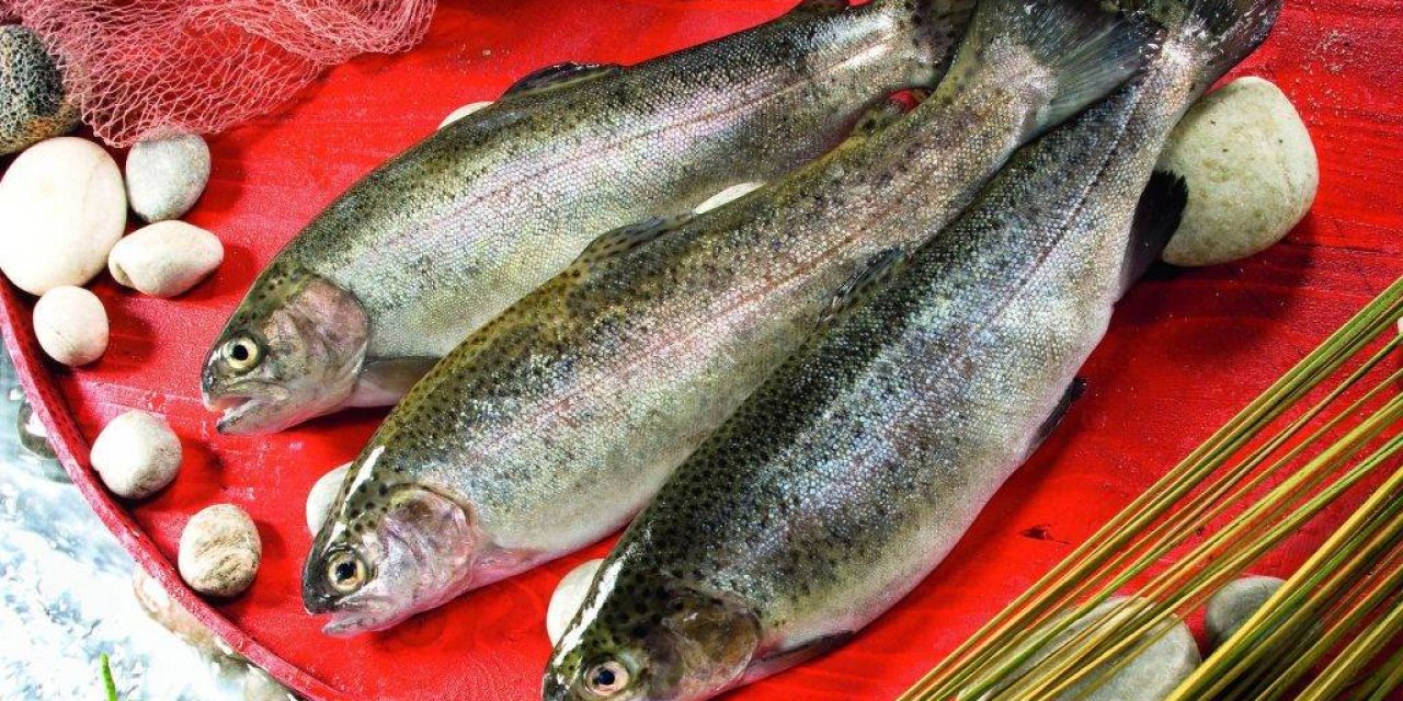 Balık Tüketimi Kalp Sağlığını Koruyor