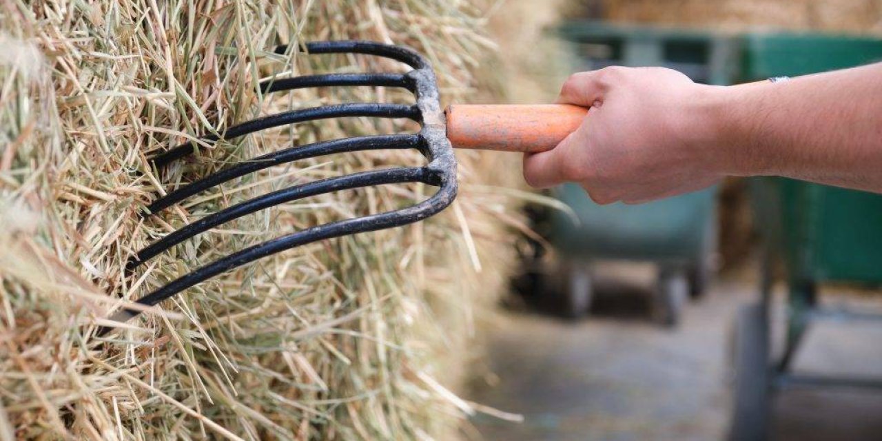 Dirgenle Ağız Ve Diş Sağlığını Bastı!