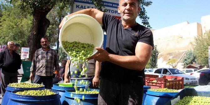 Zeytinin Fiyatı 2 Kat Arttı