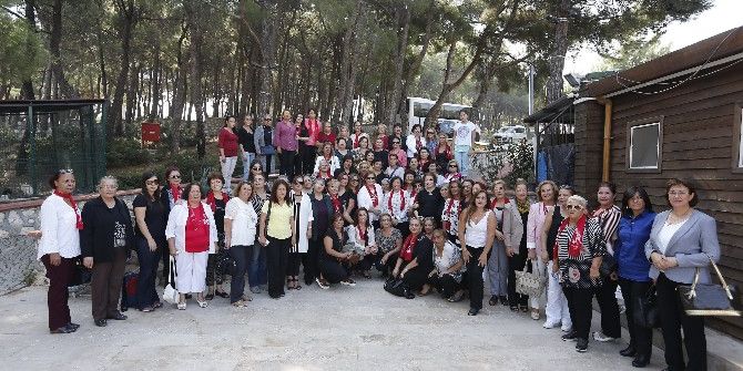 Pekdaş: “Şimdi Kol Kola Girme Zamanı”