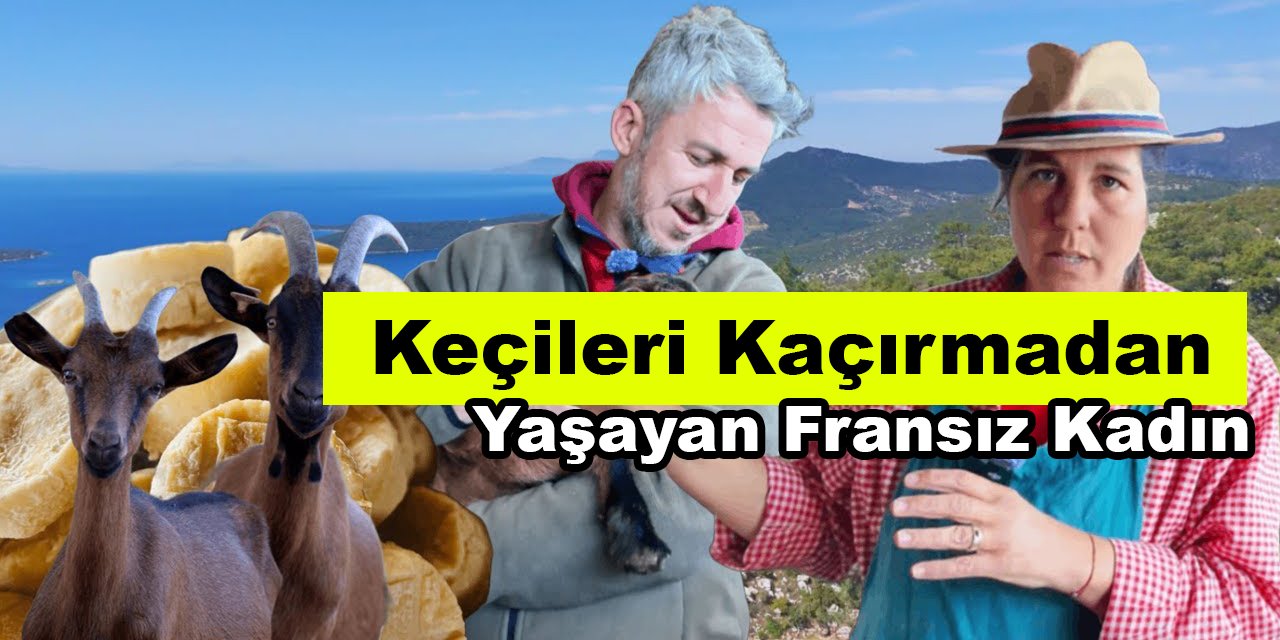 Bodrum'da Keçileri Kaçırmadan Yaşayan Fransız Kadının Çiftliğindeyiz!