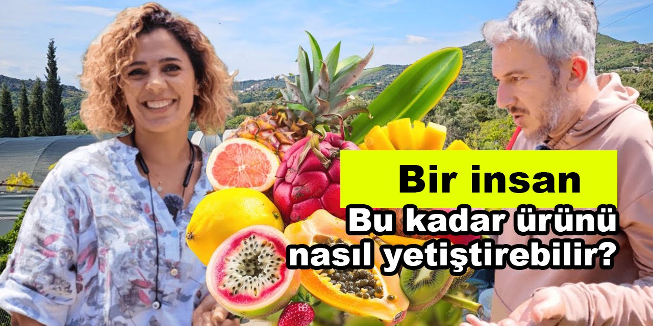 Bir insan bu kadar ürünü nasıl yetiştirebilir?
