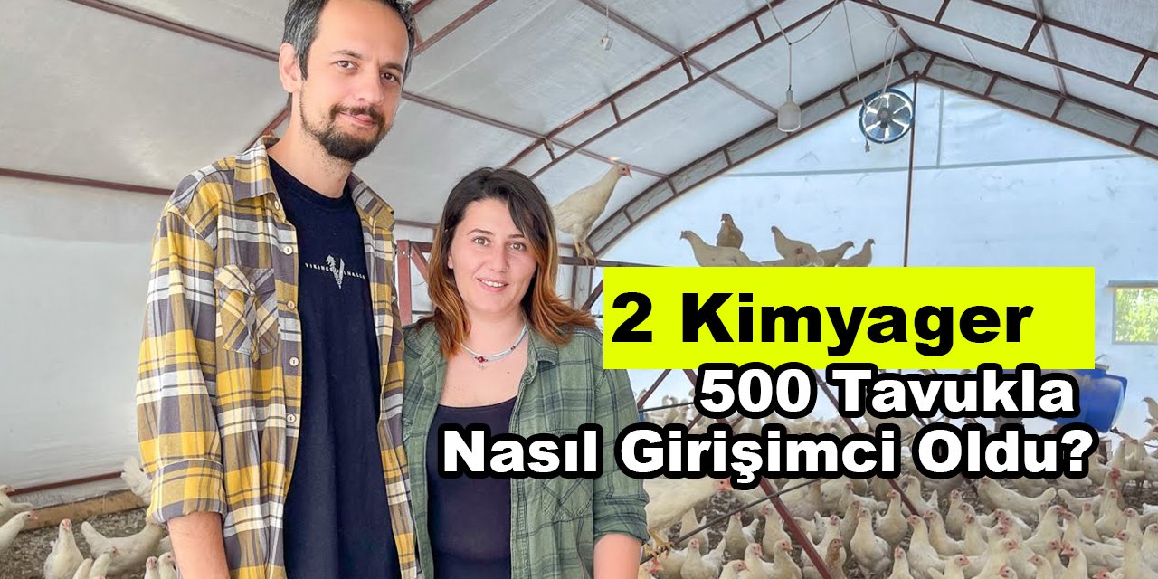 Şehir Hayatını Bırakıp Köye Yerleştiler: 2 Kimyager 500 Tavukla Nasıl Girişimci Oldu?