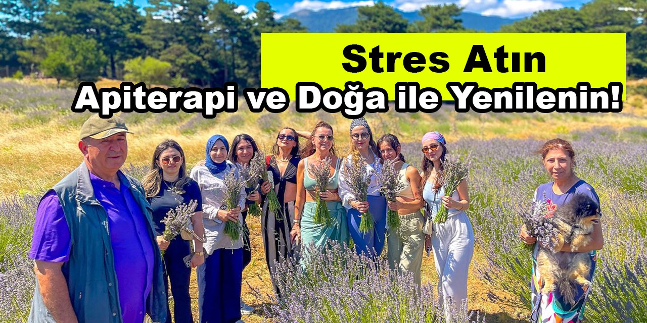 Stres Atın, Apiterapi ve Doğa ile Yenilenin!