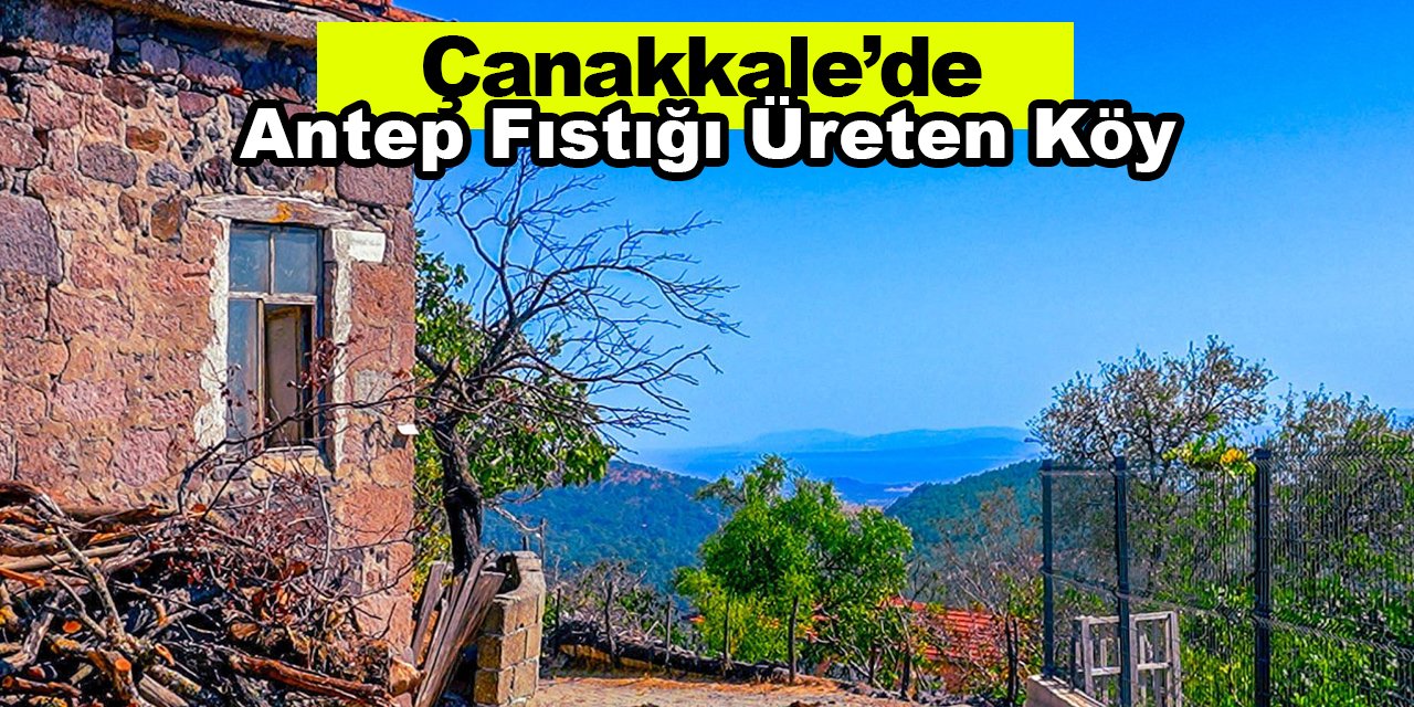 Çanakkale’de Antep Fıstığı Üreten Köy | Deniz Manzaralı Şapköy Gezisi