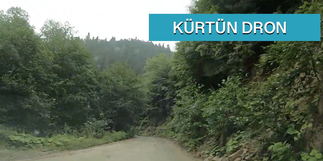 Gümüşhane Kürtün Örümcek Ormanları