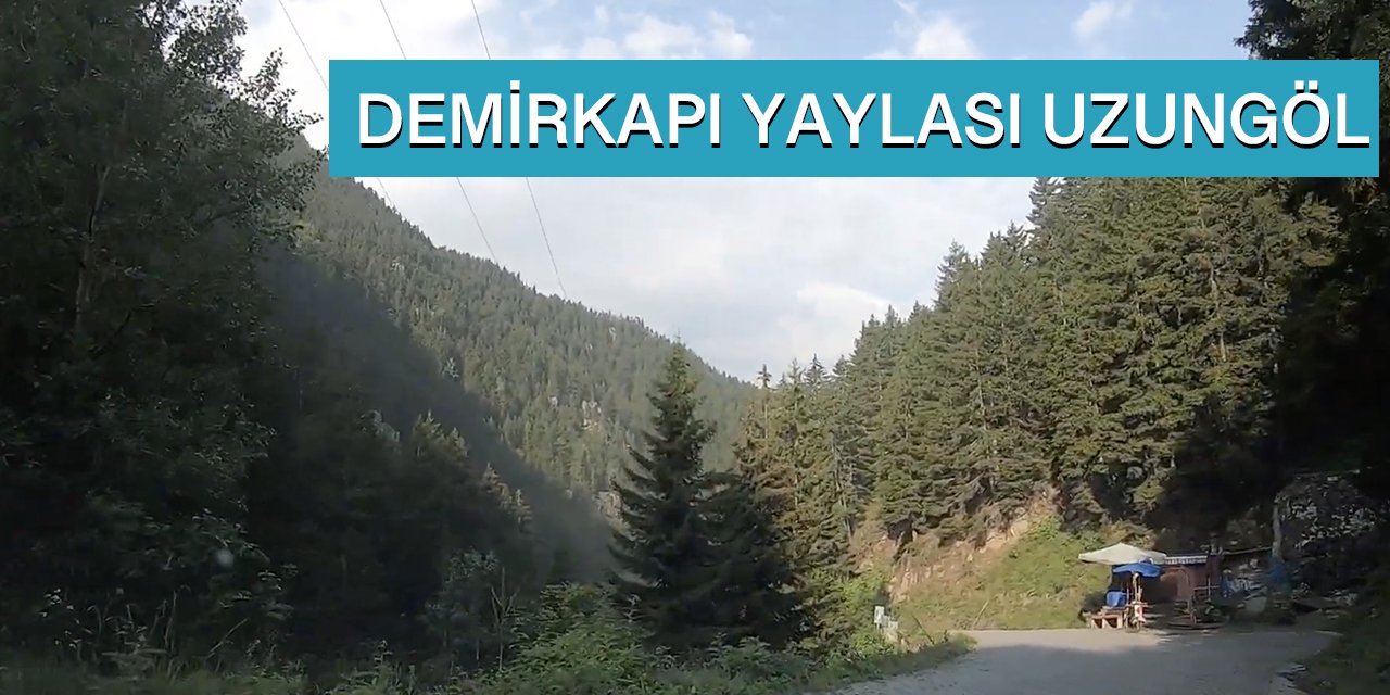 Demirkapı Yaylası Uzungöl Yolculuğu