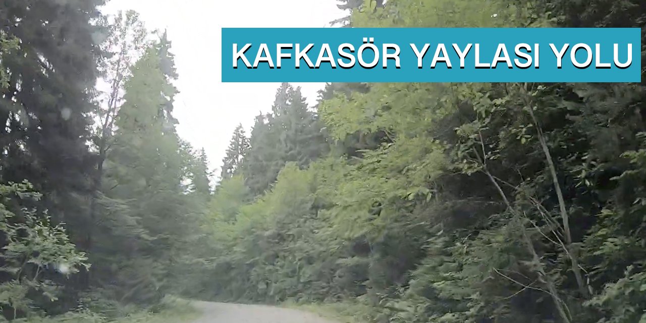 Artvin Kafkasör Yaylası Yolu
