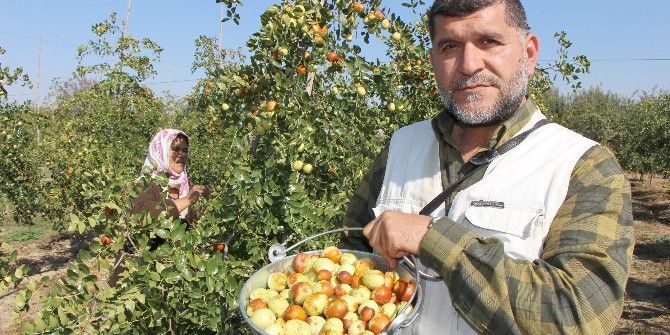 Rüyada Gördü, Türkiye’nin En Büyüğünü Kurdu