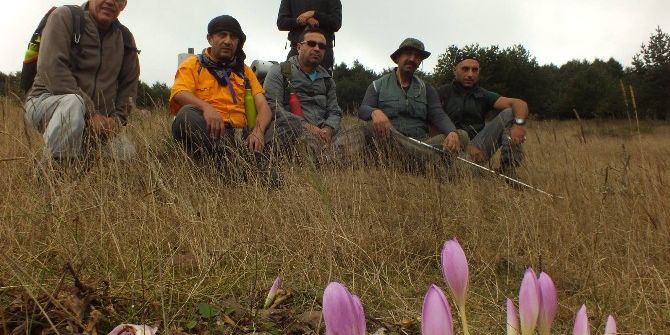 Nidost Üyeleri Doğaya Sahip Çıkıyor