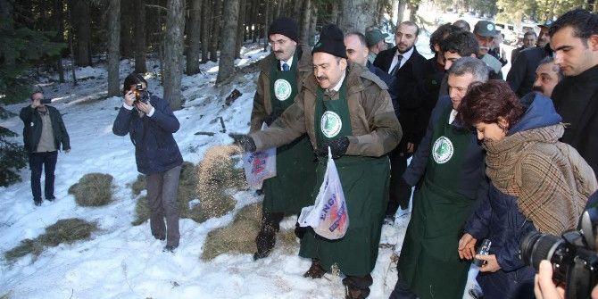 Orman Ve Su İşleri Bakanı Eroğlu’nun, 4 Ekim Dünya Hayvanlarını Koruma Günü Mesajı
