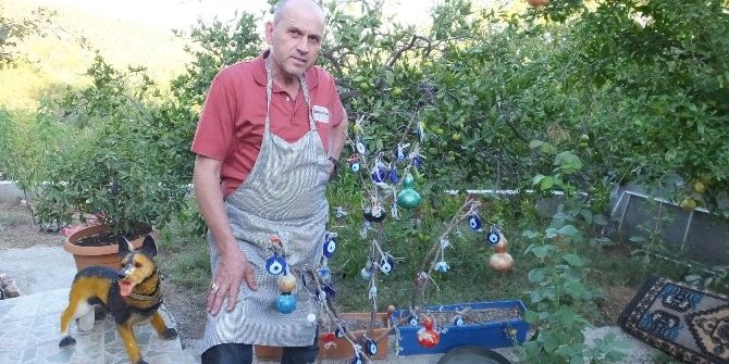 Edremitli Gözlemecinin Dilek Ağacı İlgi Odağı Oldu