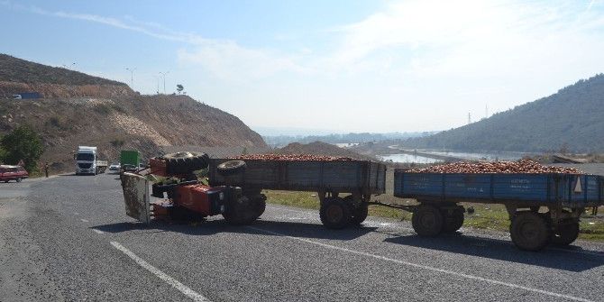 Domates Yüklü İki Römorku Çeken Traktör Devrildi