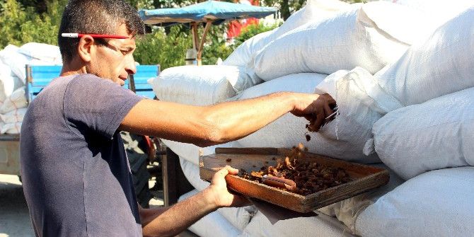Tariş Kuru Üzüm Fiyatını Açıkladı