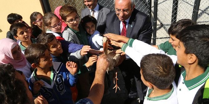 4 Ekim Dünya Hayvanları Koruma Günü