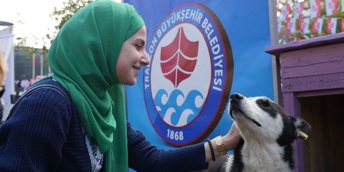 Trabzon’da Sokak Hayvanları Unutulmadı