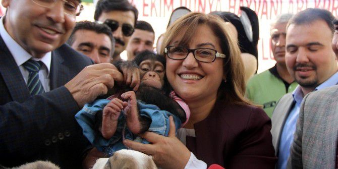 Hayvanları Koruma Günü Etkinliğinde Yavru Şempanzeye Yoğun İlgil