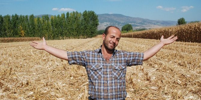 Tarlasından Çaldırdığı Mısırlarını Buldu