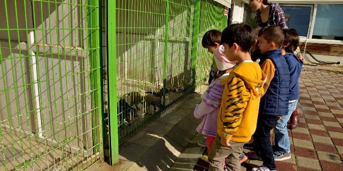Tepebaşı’nda Dünya Hayvanları Koruma Günü Kutlandı
