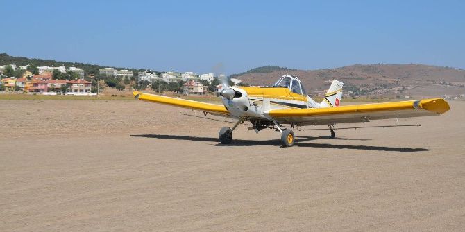 Körfez Bölgesinde 688 Bin Dekar Zeytinlik Alan Uçakla İlaçlanıyor