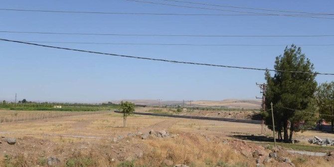 Diyarbakır’da Yeni Fidanlık Alanı Oluşturuluyor