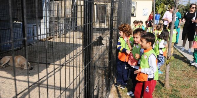 Minik Öğrenciler Hayvanları Koruma Gününde Geçici Bakımevini Ziyaret Etti