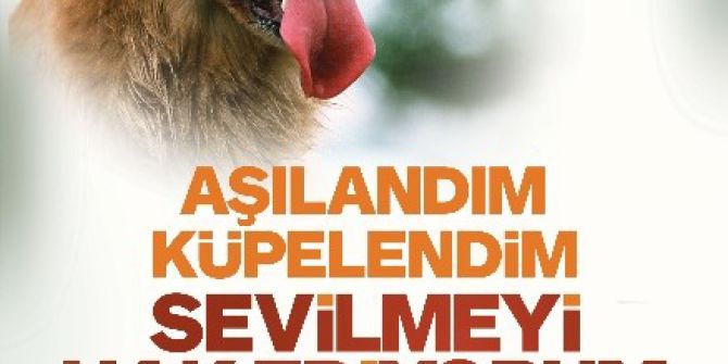 Başkan Yaman Hayvanları Koruma Günü Vesilesiyle Açıklamalarda Bulundu