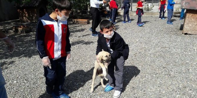 4 Ekim Dünya Hayvanları Koruma Günü