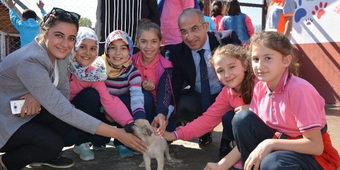 Niksar’da Öğrencilere “Hayvan Sevgisi” Aşılandı