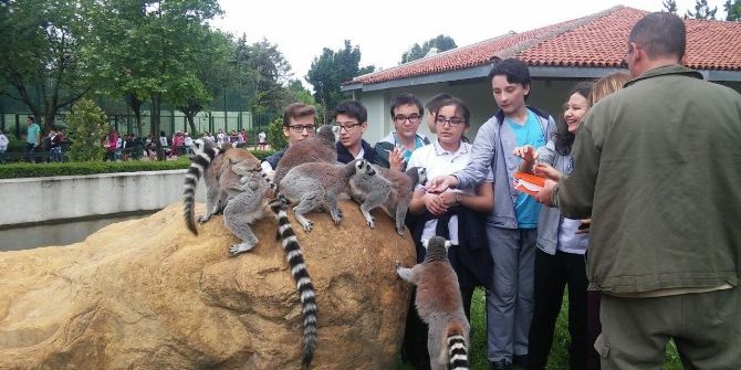 Ücretsiz Olunca Zoopark’a Akın Ettiler