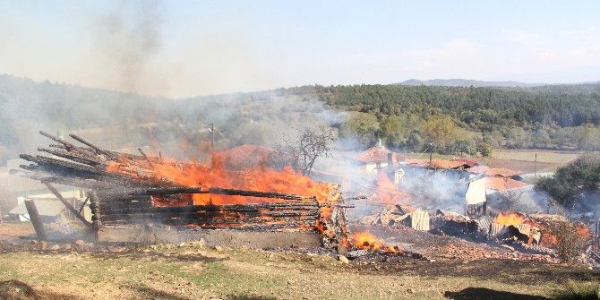 Kastamonu’da Çıkan Yangında 2 Ev Küle Döndü
