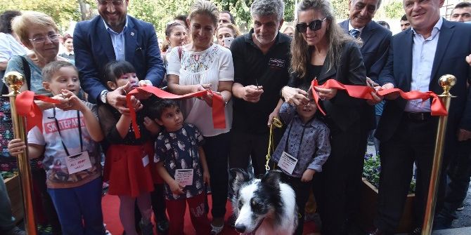 Beşiktaş Belediyesi, Hayvanları Kısırlaştırma Ve Rehabilitasyon Merkezi Hizmete Açıldı