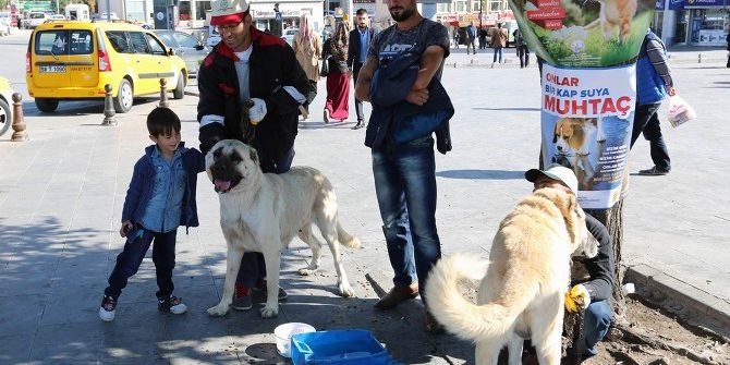 Sivas’ta Hayvanları Koruma Günü Etkinliği