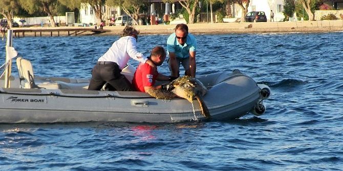 Deniz Kaplumbağasının İmdadına Akut Ekibi Yetişti