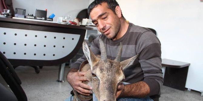 Erzurumlu Hayvanseverden Örnek Davranış