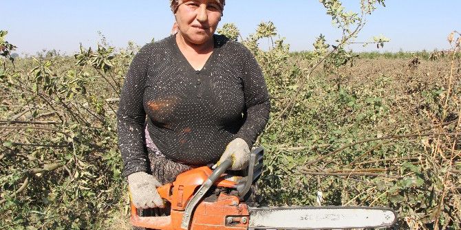 ’Testere Birgül’