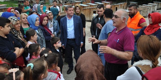 Ak Kadınlar’dan Çocuklarıyla Birlikte Hayvan Barınağına Ziyaret