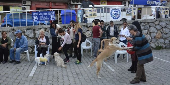 Hayvanları Koruma Günü’nde Hayvanlara Yapılan Şiddete Dikkat Çekildi