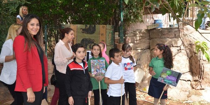 Gkv Öğrencileri Hayvan Barınaklarını Ziyaret Etti