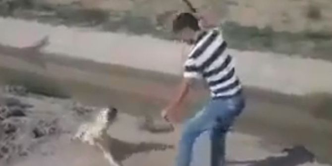 Bu Görüntüler Sosyal Medyayı Ayağa Kaldırdı