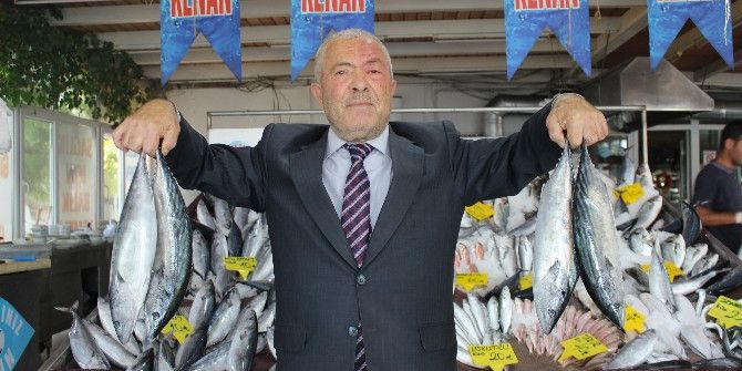 Palamut Tezgahta 20 Sene Önceki Fiyatını Gördü