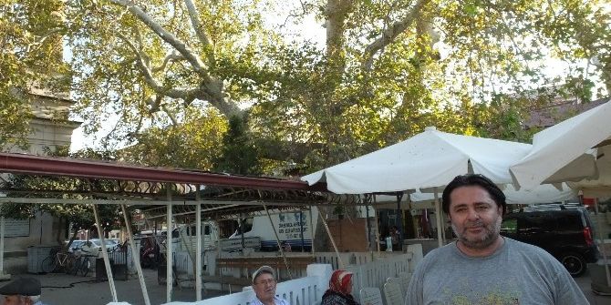 Burhaniye’de Tarihi Çınar İlgi Bekliyor