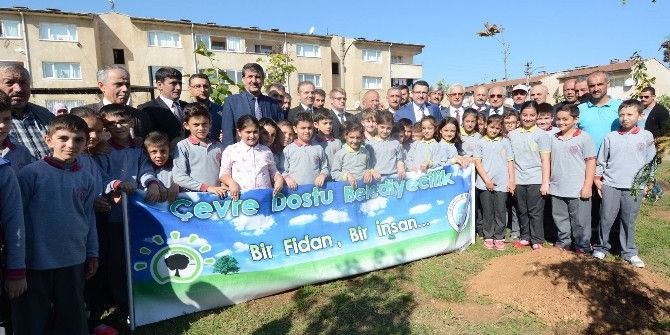 Pelitli’de, Fidanlar Toprakla Buluştu