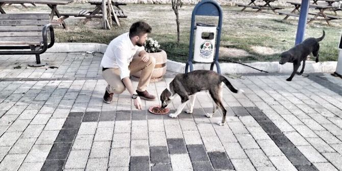 Üniversite Öğrencileri Sokak Hayvanlarını Besledi